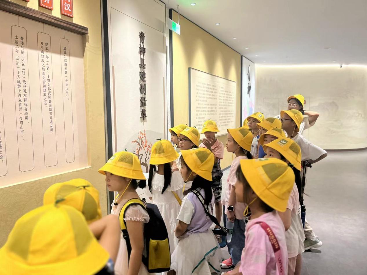 传承苏母家风  弘扬东坡文化